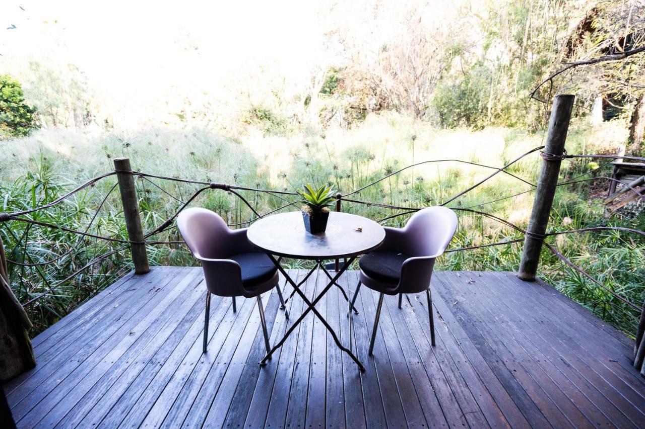 Hakunamatata Lodge & Health Spa/ Wedding & Conference Venue Muldersdrift Exterior photo